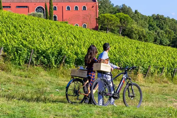 Outdoors among the Caiarossa vineyards
