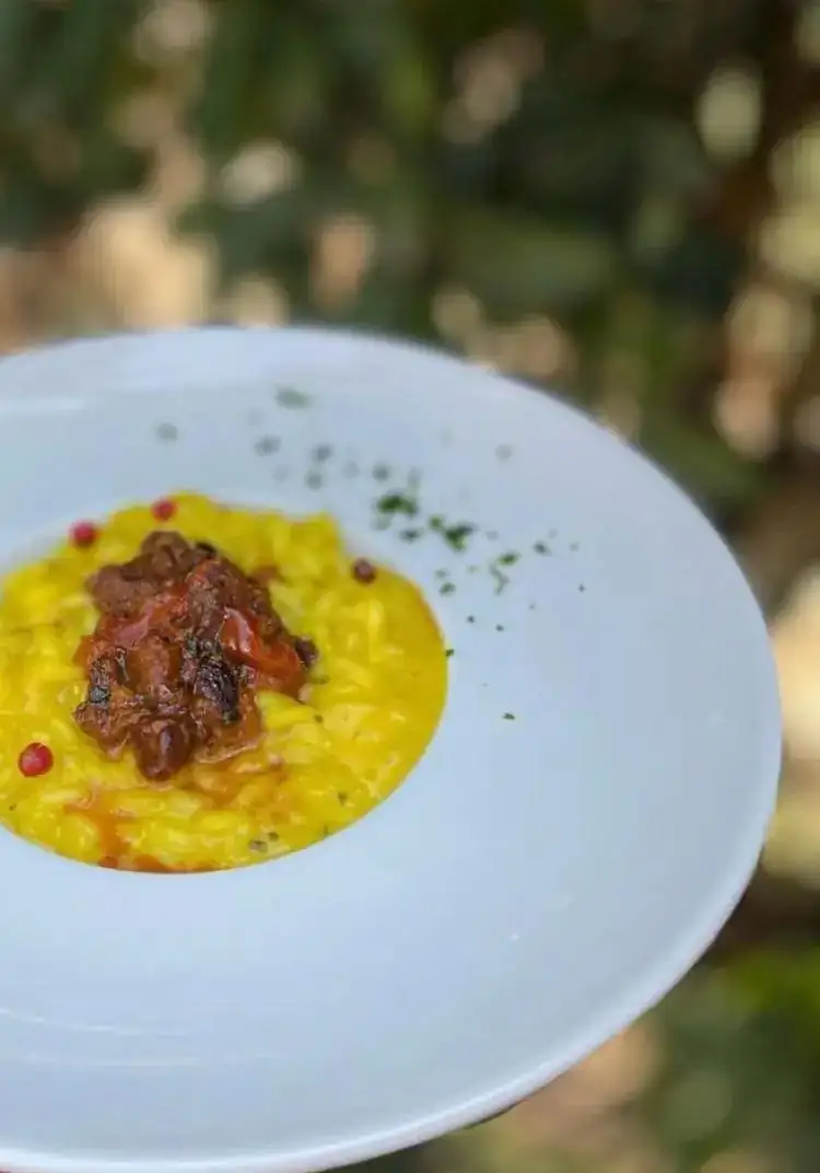 Saffron and sea urchin risotto