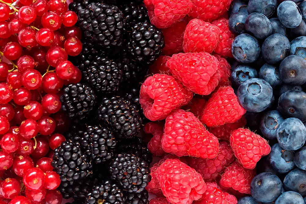Las nuevas tecnologías buscan mejorar la maduración, el almacenamiento y el control de calidad de las frutas y verduras
