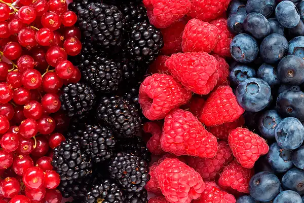 New technologies seek to improve the ripening, storage and quality control of fruits and vegetables