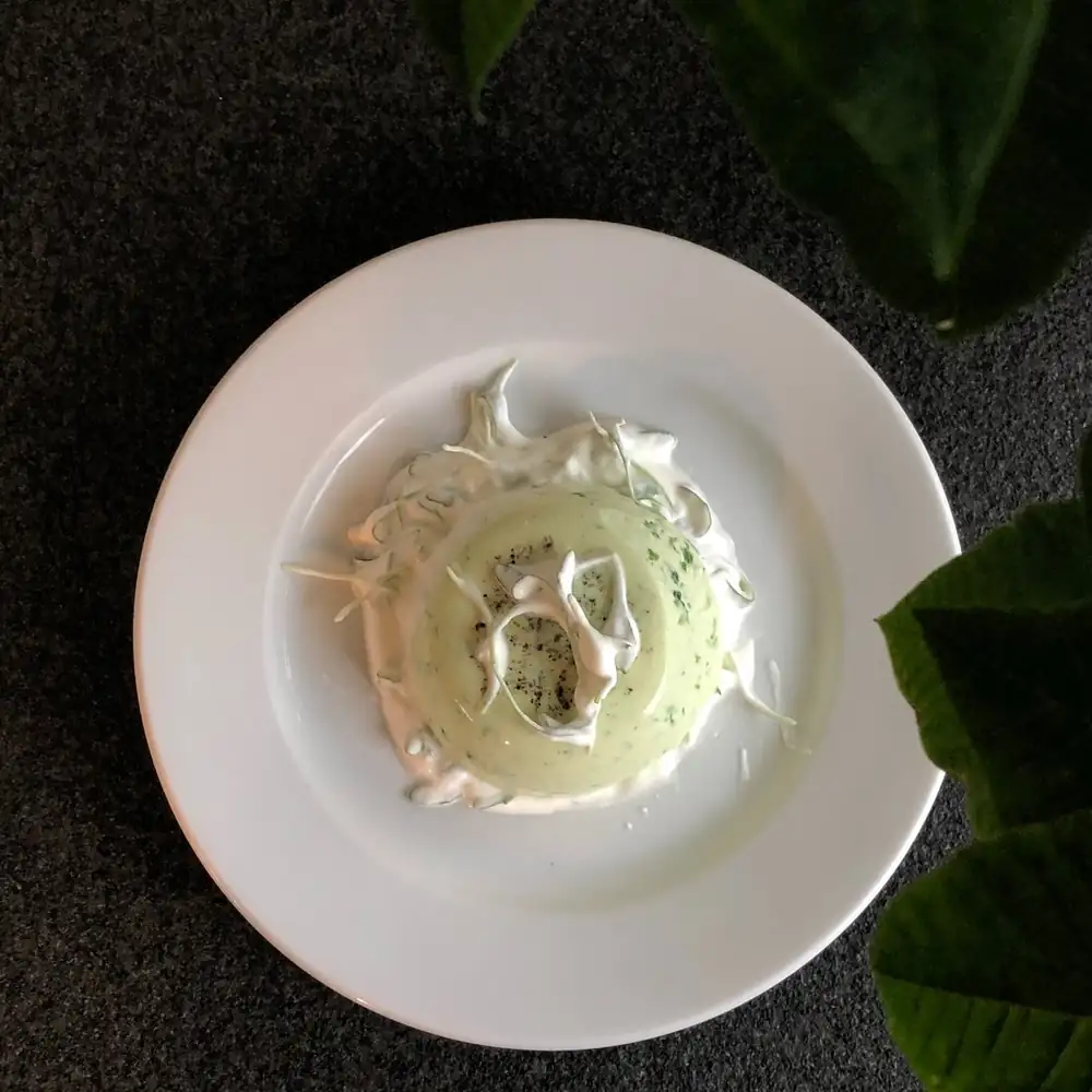 Wild garlic flan with cress foam