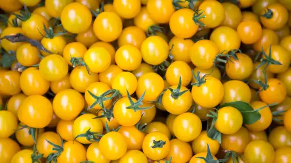 La salsa de tomate amarilla es un elemento vibrante imprescindible para tus comidas de verano