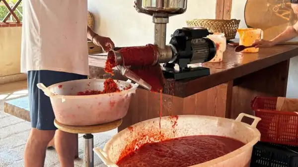A day spent making homemade tomato sauce: a summer ritual that has been repeated for generations in Irpinia
