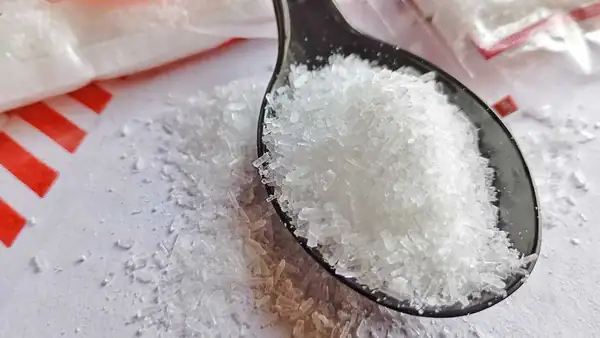 ¿Sigue siendo el glutamato un ingrediente controvertido?