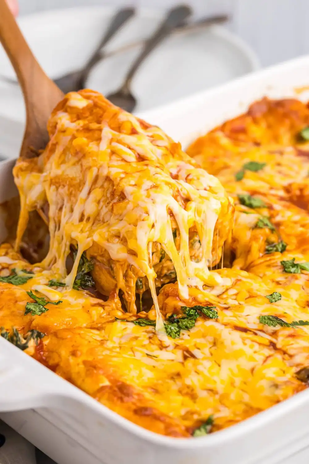 Easy Chicken and Spinach Enchiladas (Baked & Cheesy)