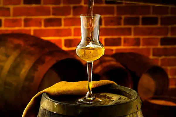 Hello Grappa: A €1.5M EU Project for the United Kingdom