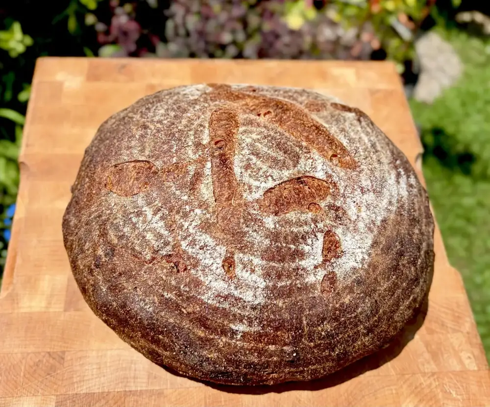 Durum Spelt Egg Bread with Cherry Maple Syrup, Fresh Cherry Slurry and a Durum Tangzhong