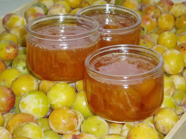 Mirabelle plum jam: the best recipe