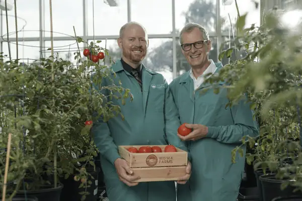 Saltwater ag startup Red Sea Farms raises $16m from AppHarvest, Aramco