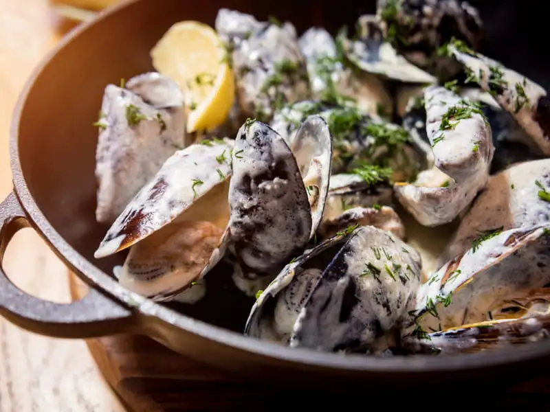 Mejillones en salsa de crema: la receta fácil