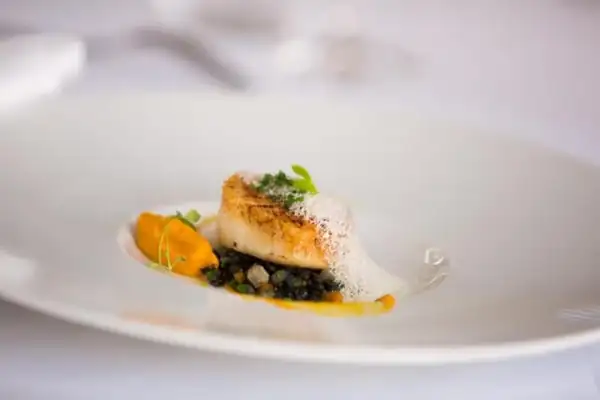 Seared Scallops with Carrot & Apple Puree