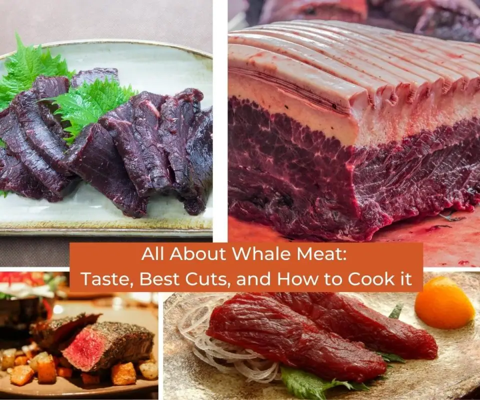 Todo sobre la carne de ballena: sabor, mejores cortes y cómo cocinarla.
