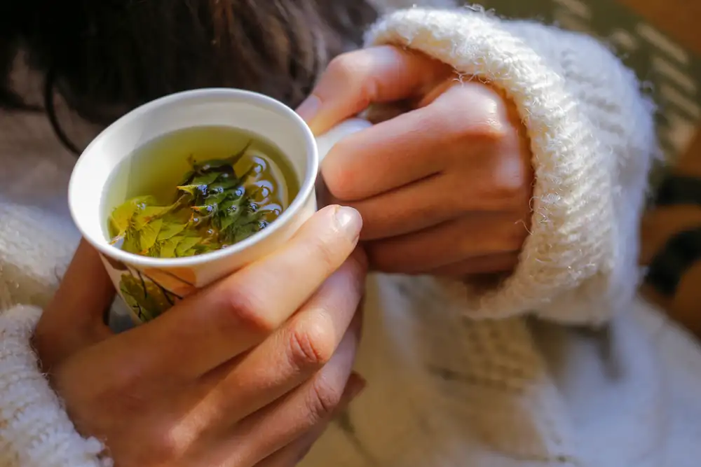 Sleep better with herbal tea: what a tea connoisseur doesn't tell you on the label