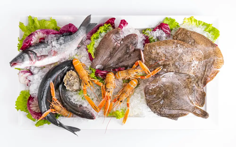 Lisbon's JNcQUOI House Opens Fish, an Atlantic Kitchen, With a Table Below It