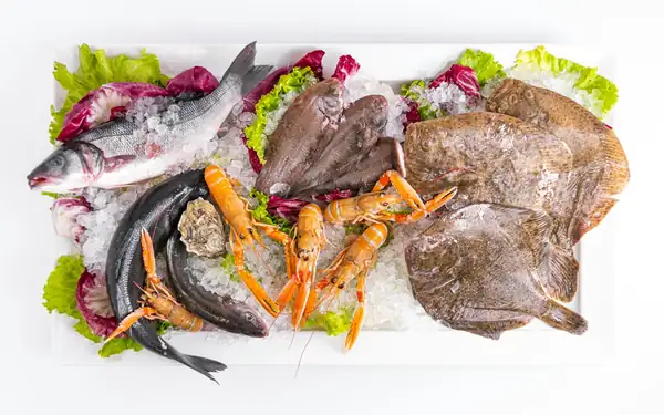 El restaurante JNcQUOI House de Lisboa abre sus puertas al pescado, una cocina atlántica, con una mesa debajo