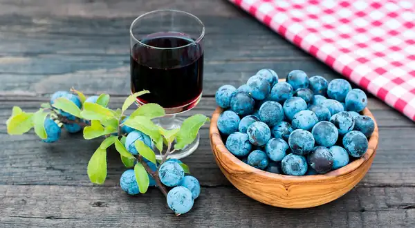 Homemade sloe wine