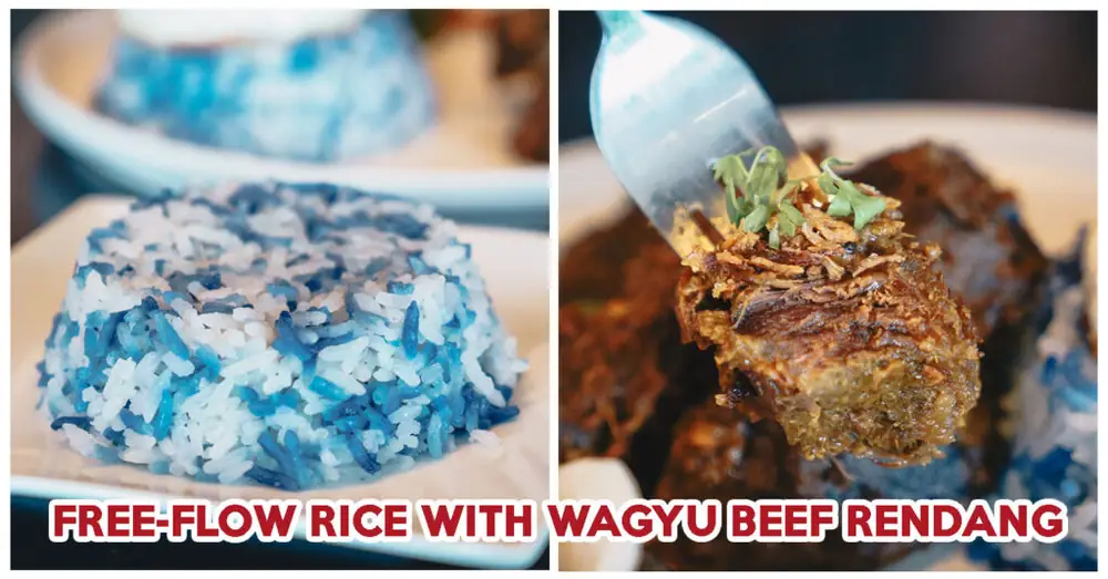 Reseña de Elixir Boutique Roasters: Cafetería con doble identidad que sirve Wagyu Rendang con nasi lemak de guisantes azules de consumo ilimitado