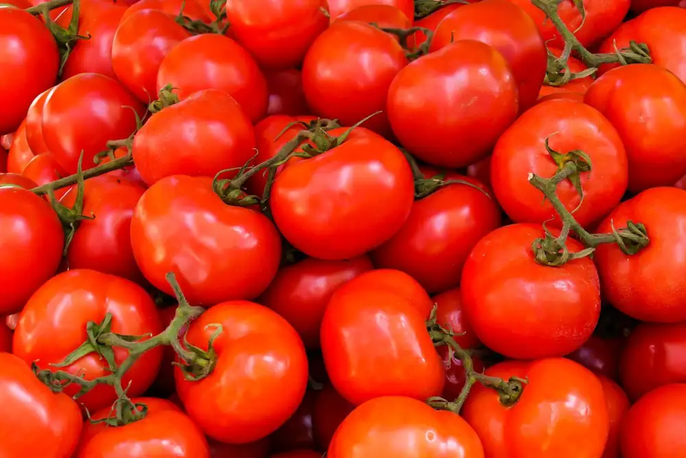 El 2º Concurso Urbano del Tomate de Barcelona: tomates de balcón, paella y música este sábado