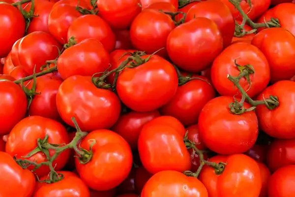 El 2º Concurso Urbano del Tomate de Barcelona: tomates de balcón, paella y música este sábado