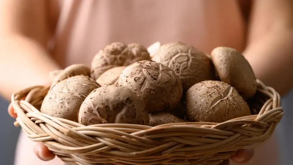 You can grow this delicious superfood at home