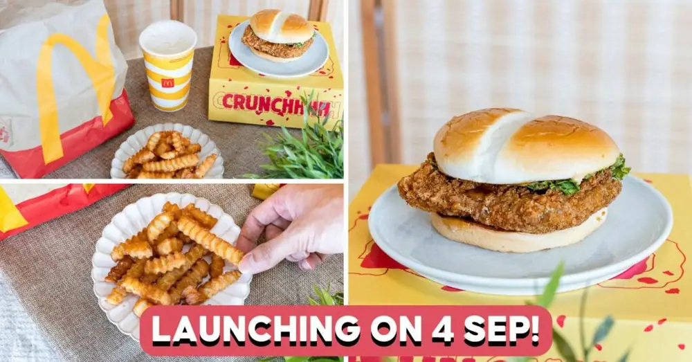 We Tried McDonald’s New McCrispy Burger And Crinkle Cut Fries Before They Launch