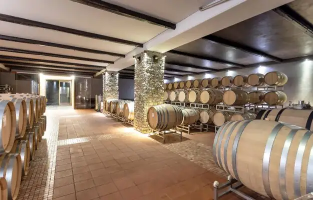 Theft in the Langhe: 3,000 bottles of Barolo stolen from the Conterno Fantino winery