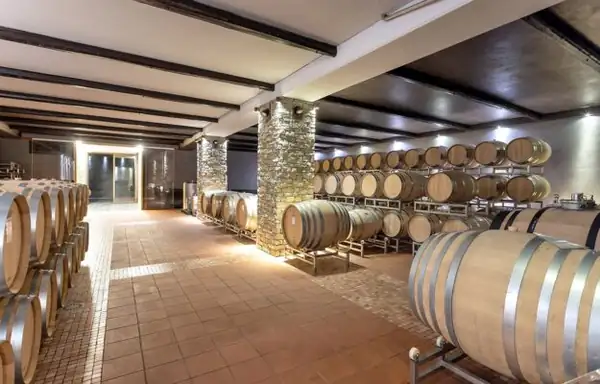 Theft in the Langhe: 3,000 bottles of Barolo stolen from the Conterno Fantino winery