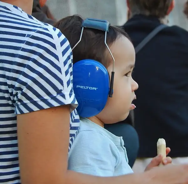 Cómo vi venir la tendencia del plátano