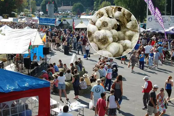Este pintoresco destino del valle del Hudson, nombrado uno de los mejores pueblos pequeños del noreste, acoge este otoño el festival del ajo más grande de la región
