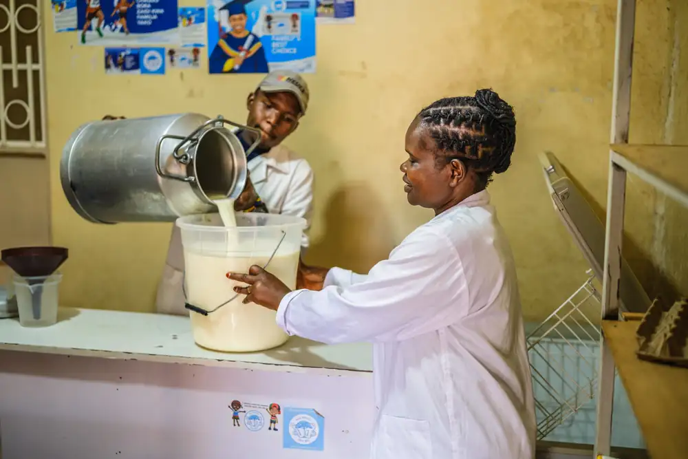 Las entregas de leche caen un 3,7% debido a que el clima seco y frío provoca una escasez de suministro.