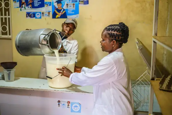 Milk deliveries fall 3.7% as dry, cold weather triggers supply squeeze