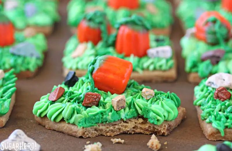 Pumpkin Patch Shortbread