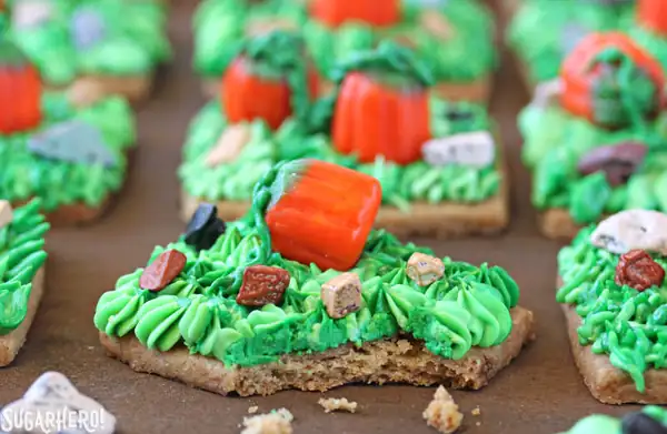 Pumpkin Patch Shortbread
