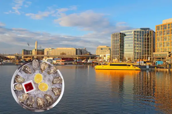 A new oyster festival is coming to Washington, D.C. this weekend featuring fresh oysters and ice-cold beer