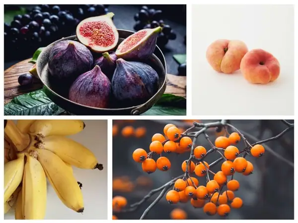 38 fantásticas frutas que empiezan con F