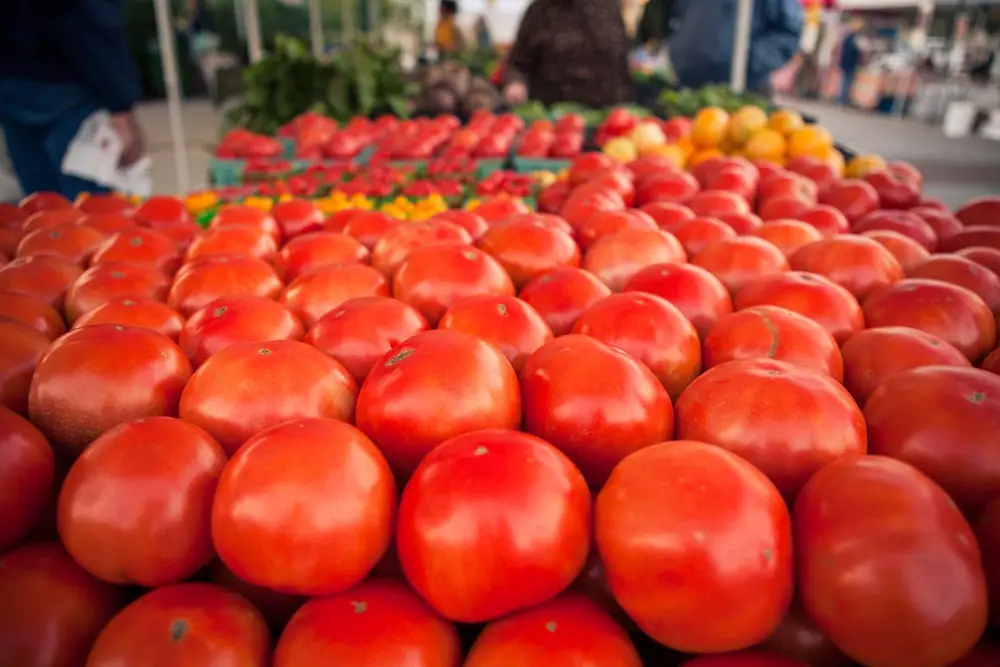 The Tomato in Winter