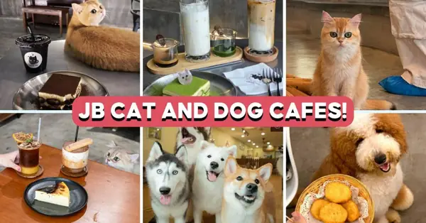 Los 10 mejores cafés para mascotas en Johor Bahru: Para amantes de los perros y los gatos, postres de matcha y mucho más