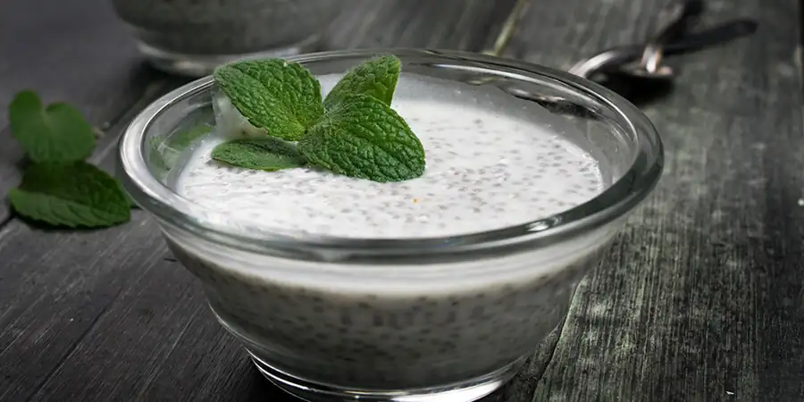 Coconut Protein Chia Pudding