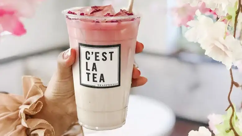 Where Is Teaspressa From Shark Tank Today?