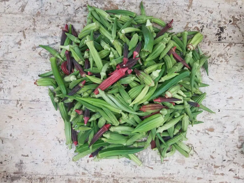 La forma correcta de cocinar okra, según un obsesionado con la okra.