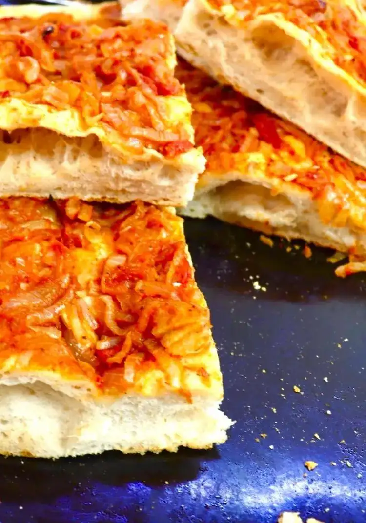 Pizza with onions