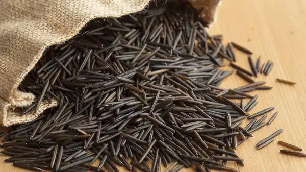 Is Wild Rice Actually Considered Rice?