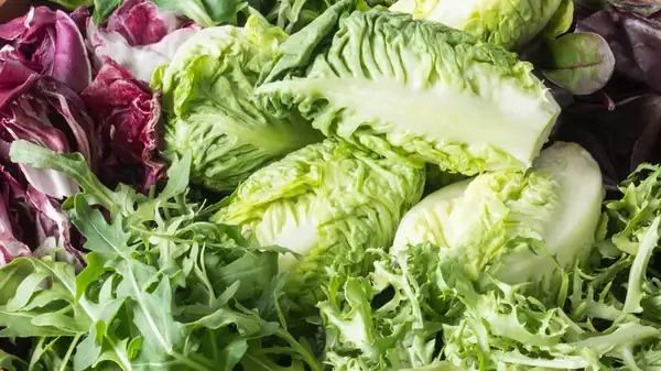 24 Types Of Lettuce For Salads, Sandwiches, And Beyond