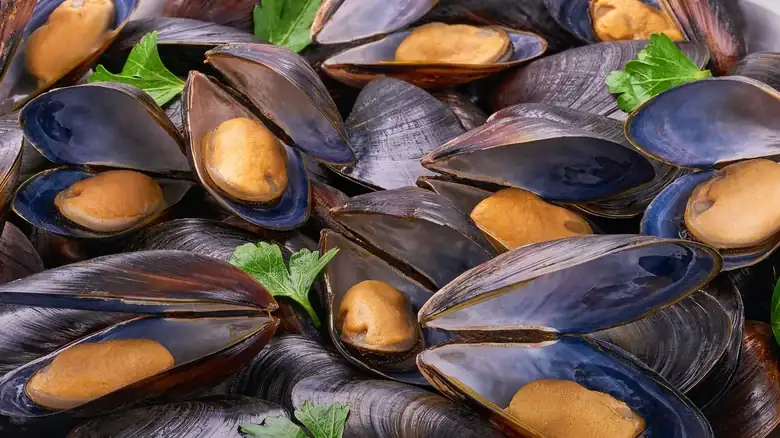 13 Mistakes You're Making When Cooking Mussels