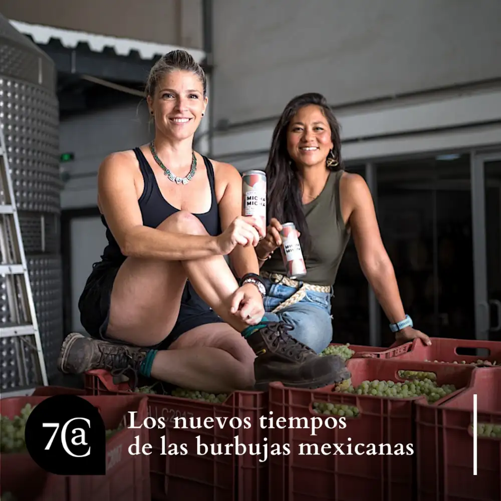A Year in the Life of Wine