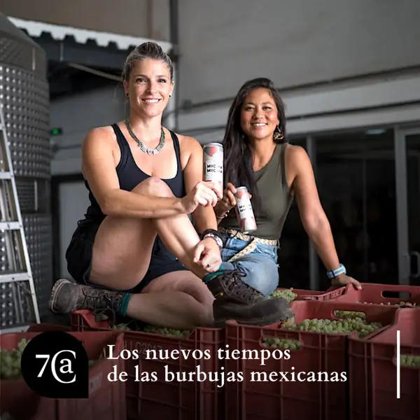 A Year in the Life of Wine