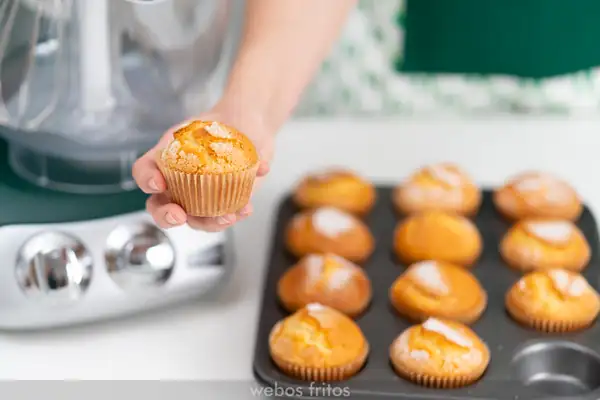 Village muffins made with the Ankarsrum mixer