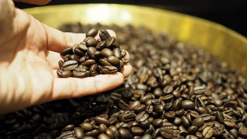 Different Continents, Different Flavors! These Are the Characteristics of Coffee from 4 Regions of the World