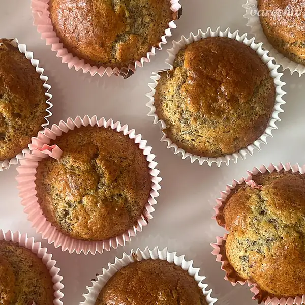 Lemon muffins with poppy seeds