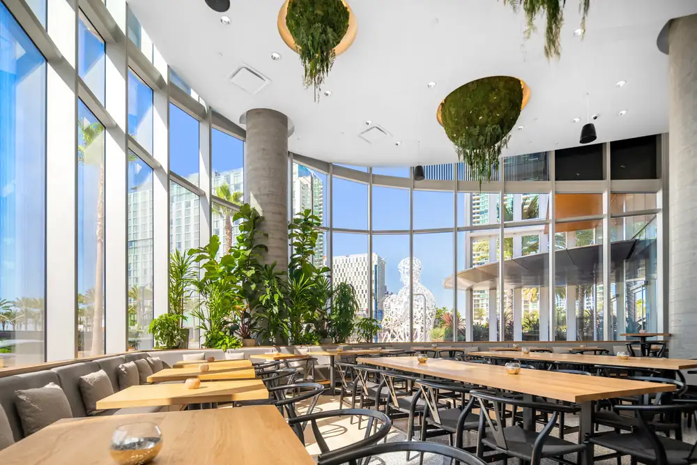 The Best San Diego Restaurants for Your Wedding Day